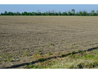 Property photo 22 - LAND AUCTION - 215+/- ACRES OFFERED IN 6 TRACTS IN VAN WERT COUNTY, OHIO